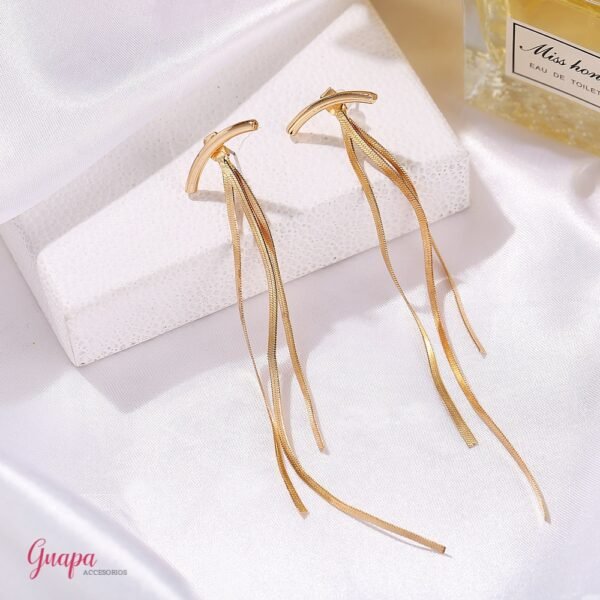 Aretes Largos Acero Inoxidable