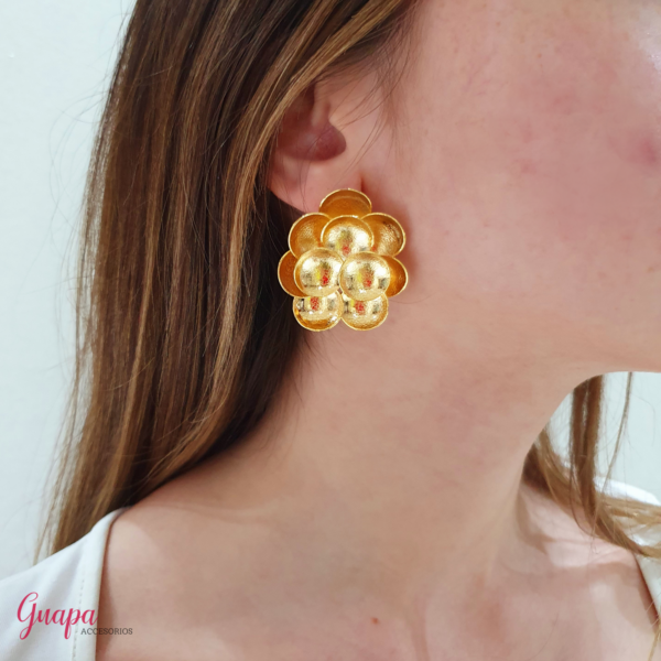 Aretes Bronce con baño de Oro