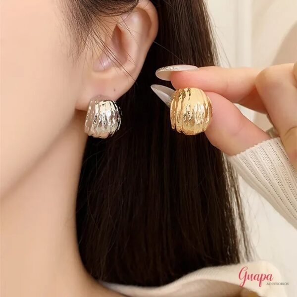 Aretes Bisuteria