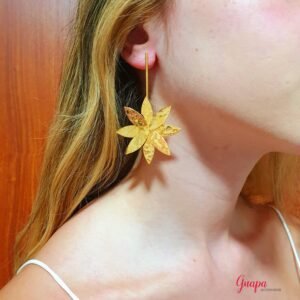 Aretes Bronce con baño de Oro