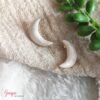 Aretes Luna