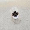 Anillo Acero Oro Rosa Trébol 4 Hojas