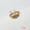 Anillo Acero