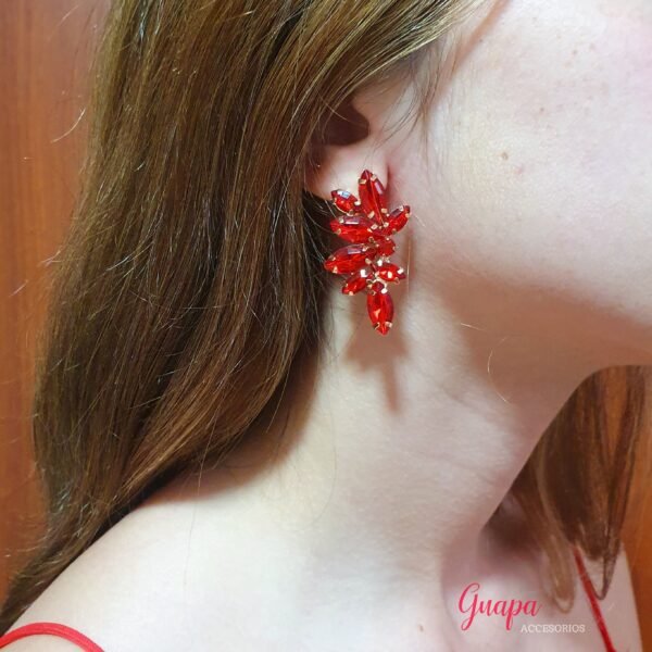 Aretes Fiesta