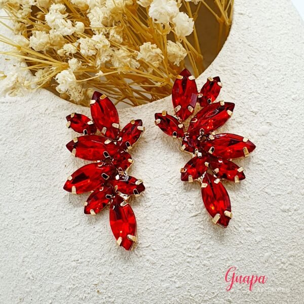 Aretes Fiesta