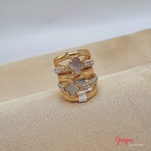 Anillo Acero