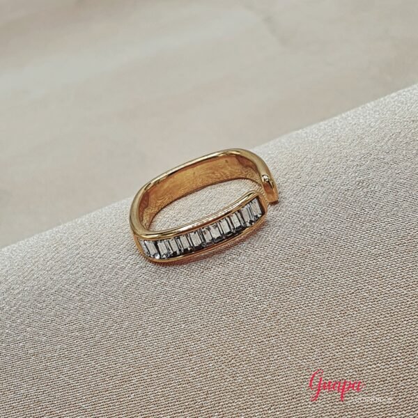 Anillo Acero