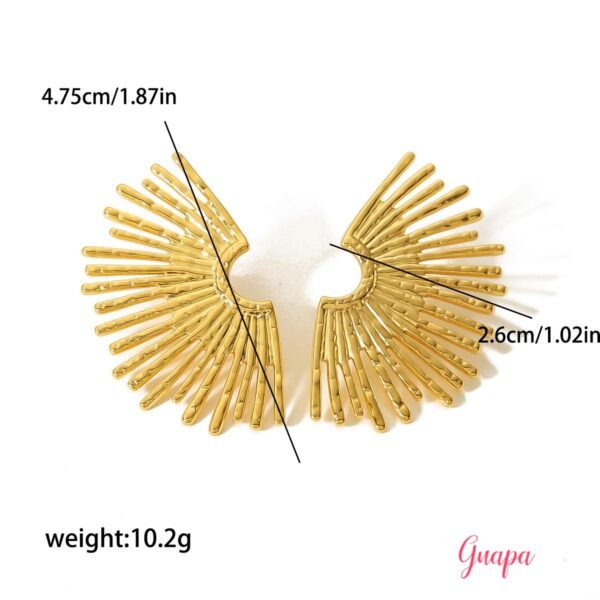 Photo_1741212863414 Aretes Acero