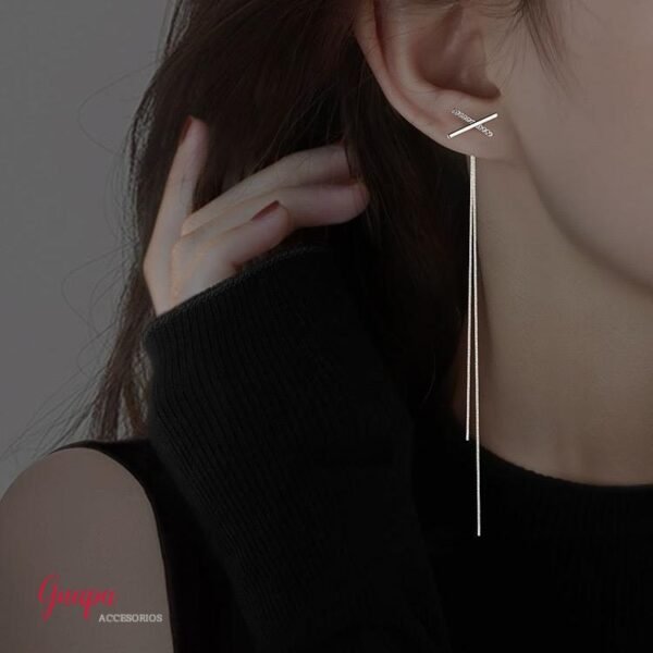 Photo_1741213138051 Aretes Fantasía Doble Uso