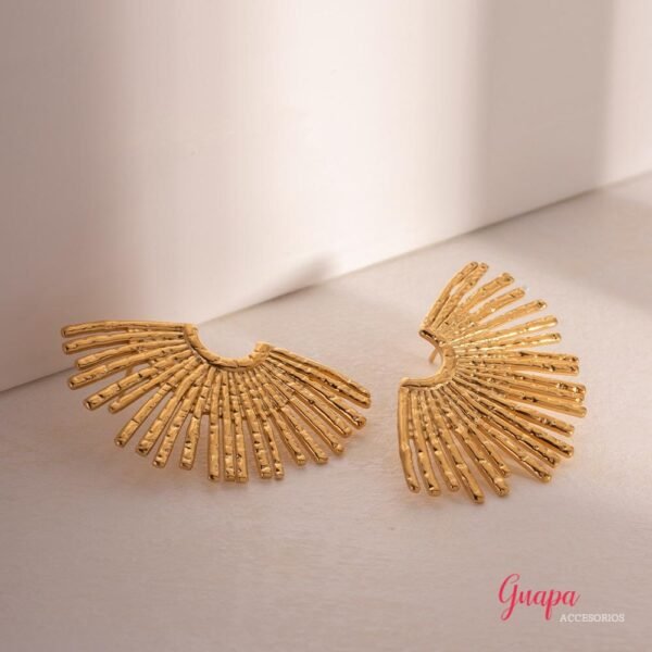 Photo_1759759976863 Aretes Acero