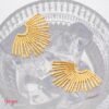Photo_1759759977268 Aretes Acero