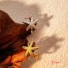 Photo_1760465816883 Anillo Acero Ajustable Estrella de Mar