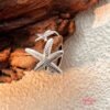 Photo_1760465817005 Anillo Acero Ajustable Estrella de Mar