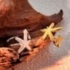 Photo_1760465817283 Anillo Acero Ajustable Estrella de Mar