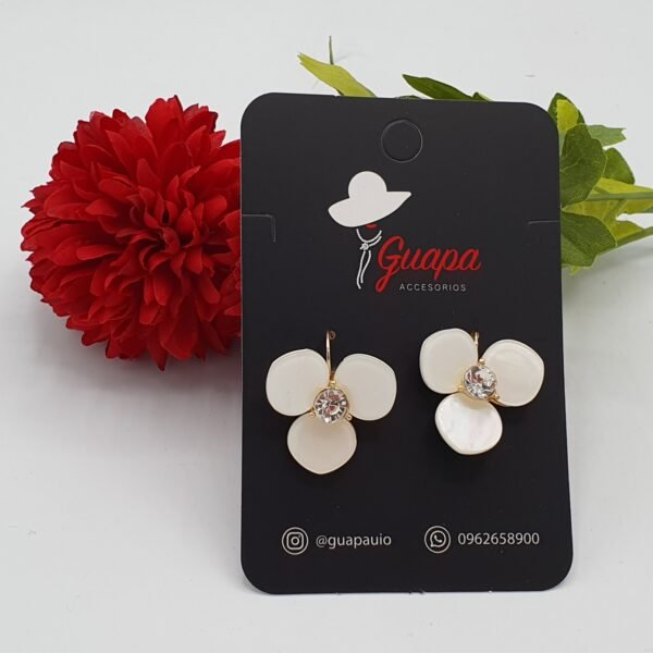 20191128_213350 Argollas Flor