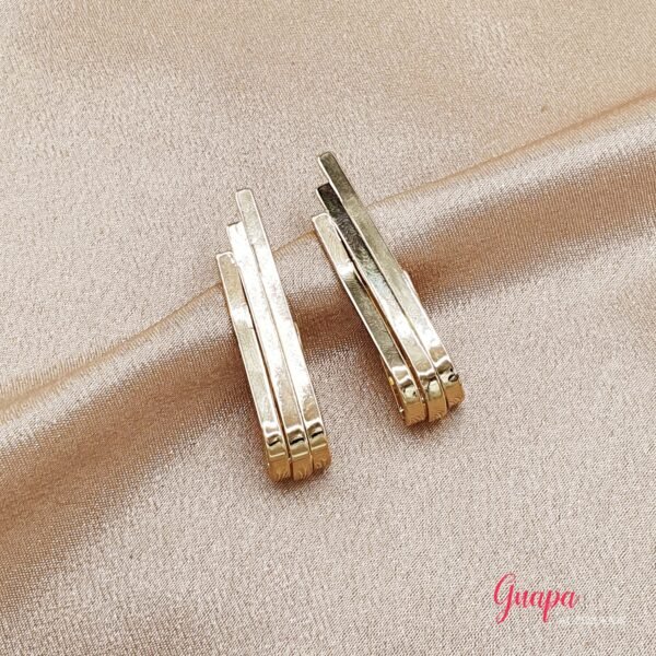 Photo_1764781413702 Aretes Goldfilled