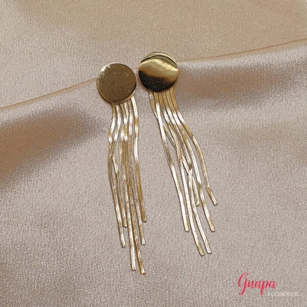 Photo_1764957601550 Aretes Acero Largos