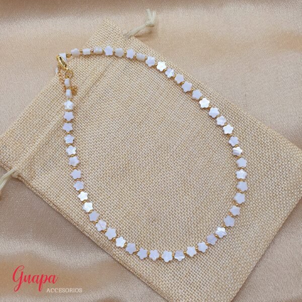 Photo_1775070316694 Collar Goldfilled & Nácar