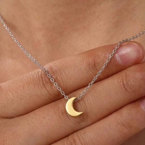 Juego Acero Luna Gold & Silver
