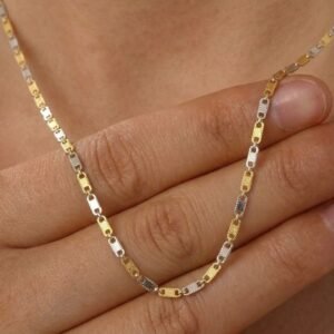 Cadena Acero Gold & Silver