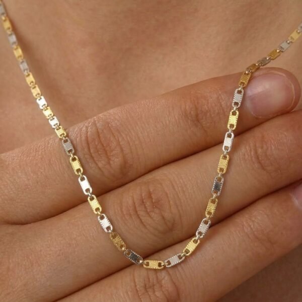 1793055858339 Cadena Acero Gold & Silver