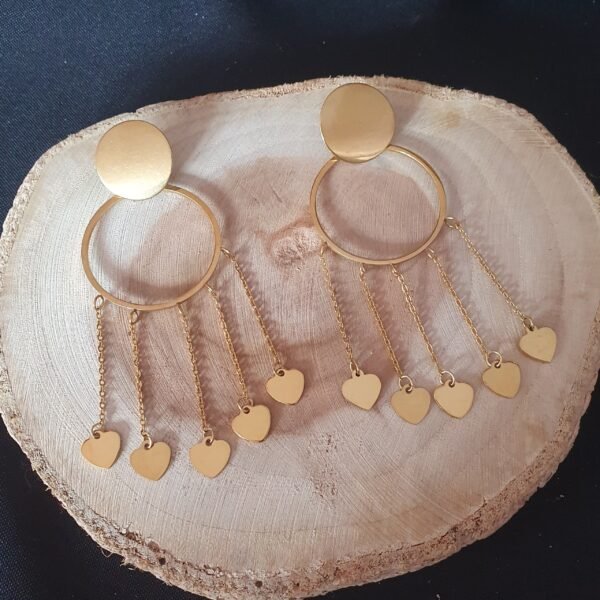 20261002_091344 Aretes Acero Corazones